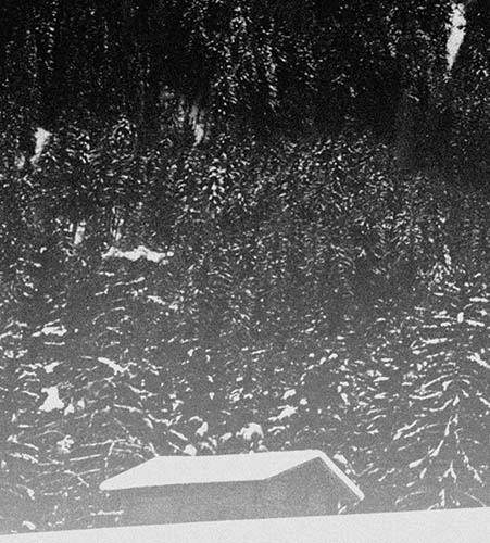 Vintlechkeit : Menneskelig Frykt​.​.​.